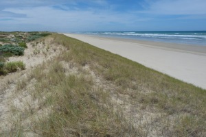 Goolwa beach near the Murray mouth showing different environments